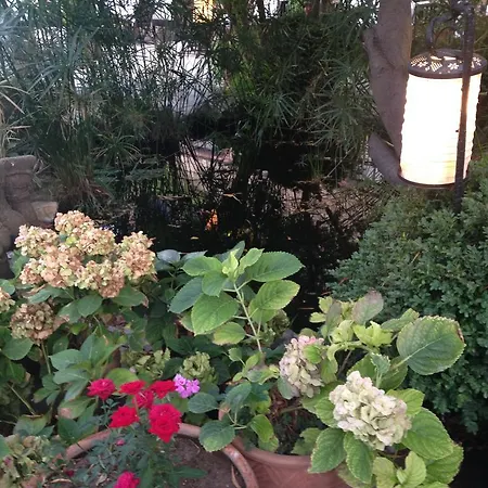 Szálloda Manici Kasri Küçükkuyu