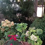 Hotel Manici Kasri Küçükkuyu