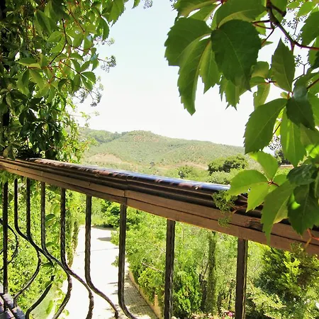 Manici Kasri 3*